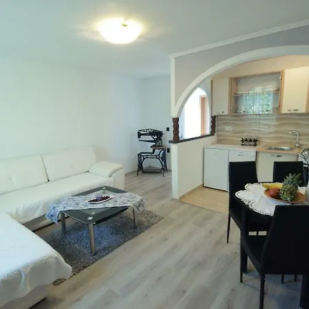 Case de vacanță Vacation Vesna *