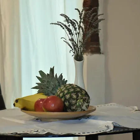 Case de vacanță Vacation Vesna